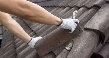 ImpermeabilizacionySellado 455w